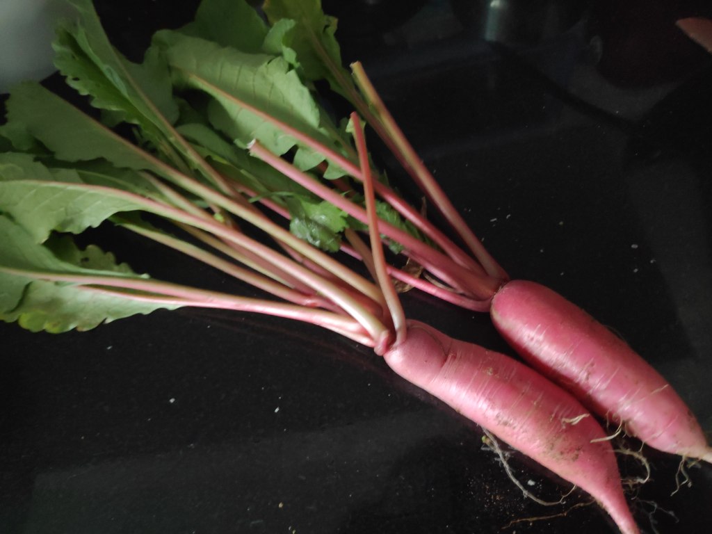 Mooli ki Sabzi | मूली की चटपटी सब्जी | Radish Veggie&nbsp;Recipe